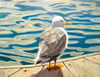 Gull on Dock